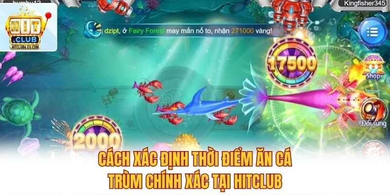 Khung Giờ Vàng Ăn Cá Trùm – Săn Thưởng Dễ Dàng Nhất 2026 3 Cách xác định thời điểm ăn cá trùm chính xác tại Hitclub